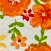 24 - Fleurs Orange